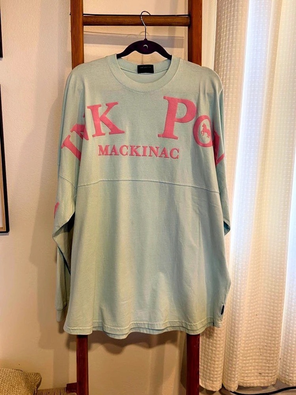 Spirit Jersey Mackinac Island Graphic Oversized Sweatshirt in blue & Pink XL